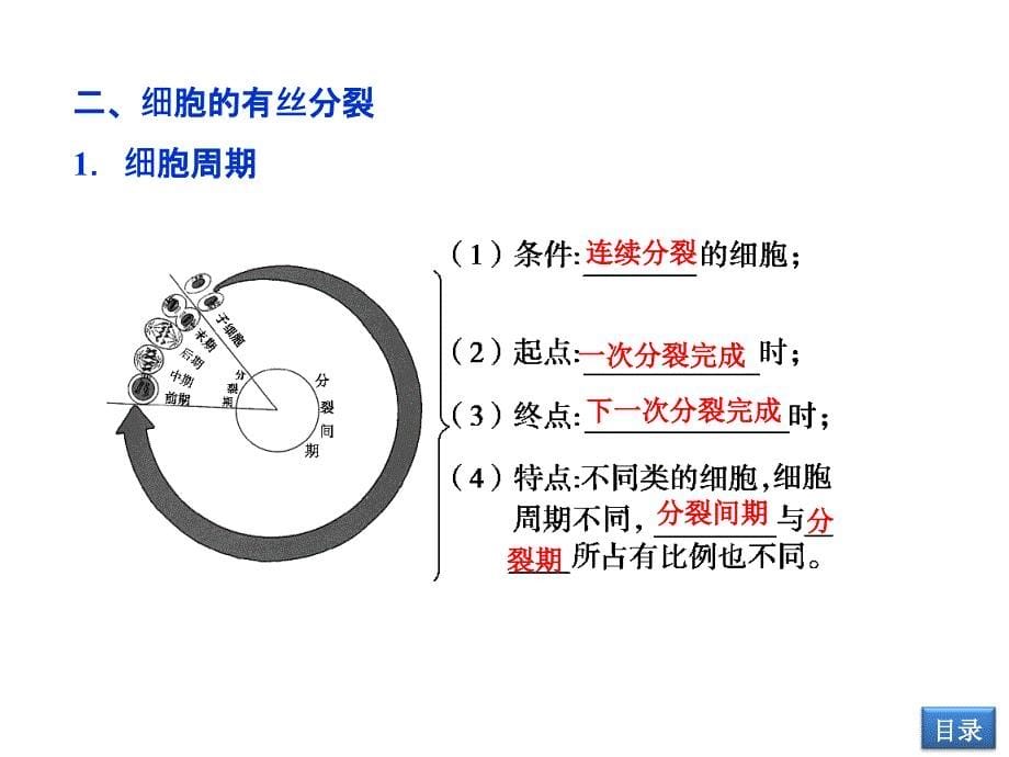 细胞的生命历程_第5页