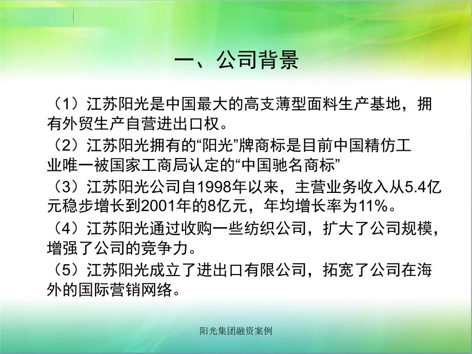 阳光集团融资案例课件_第2页