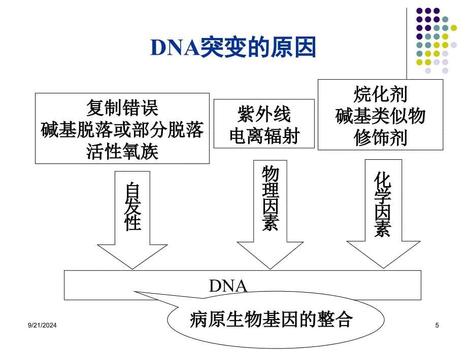 十一章疾病产生的分子基础_第5页