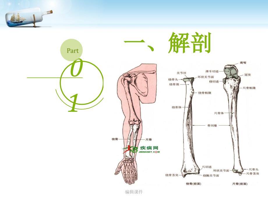 尺桡骨骨折最新版本_第3页