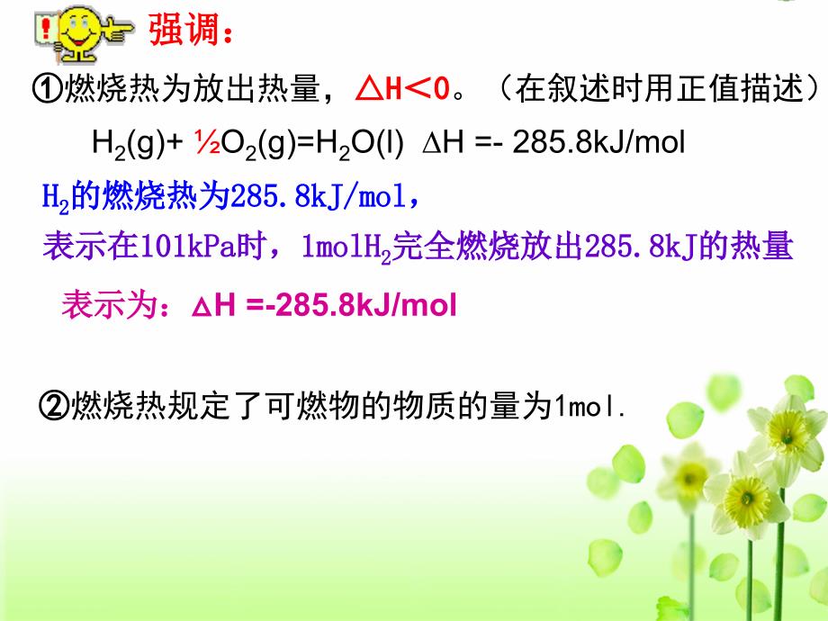 燃烧热能源bonie_第4页