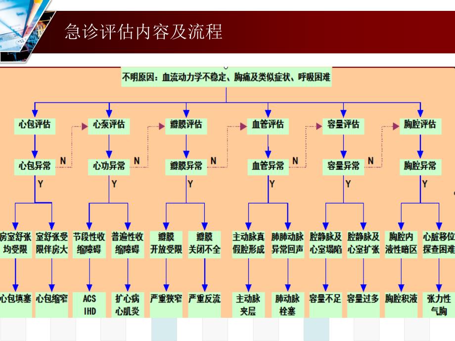 急诊超声心动图川北医院讲课ppt课件_第3页