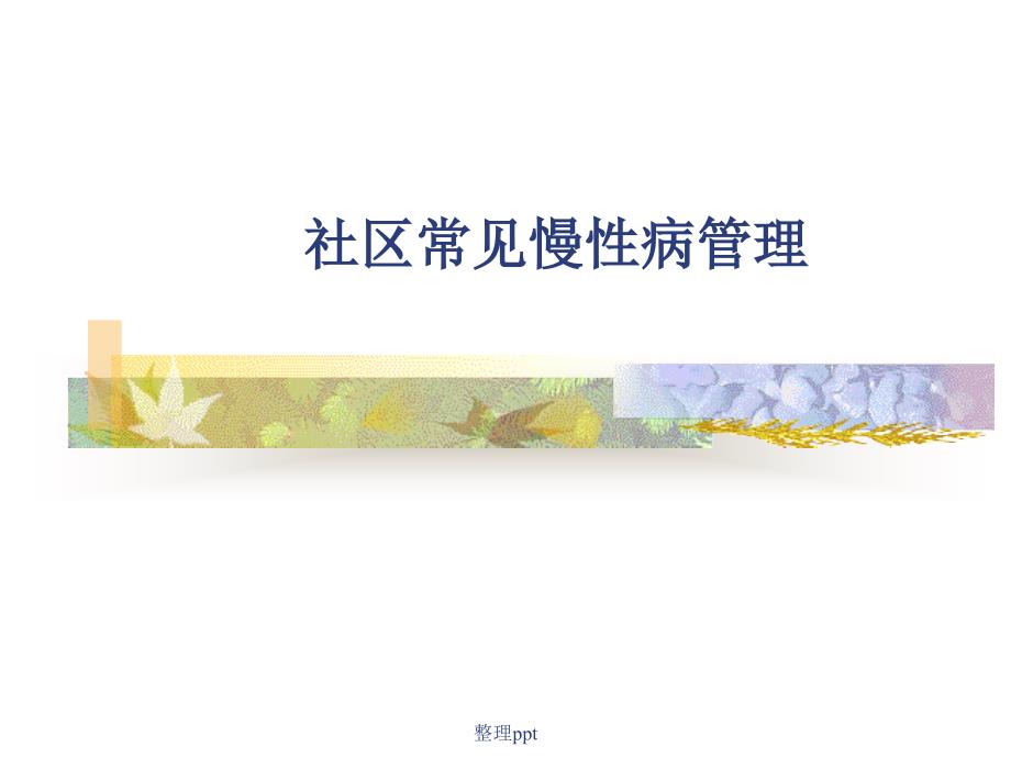 社区常见慢性病管理781_第1页