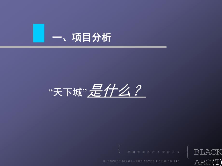 郑州天下城项目广告推广与营销定位部分_第2页