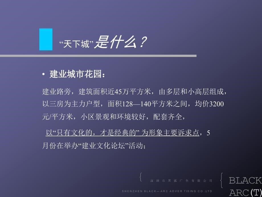 郑州天下城项目广告推广与营销定位部分_第5页