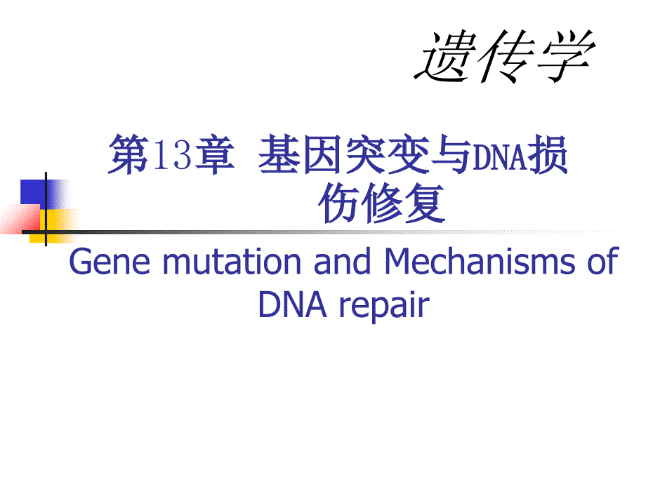 基因突变与DNA损伤修复_第1页