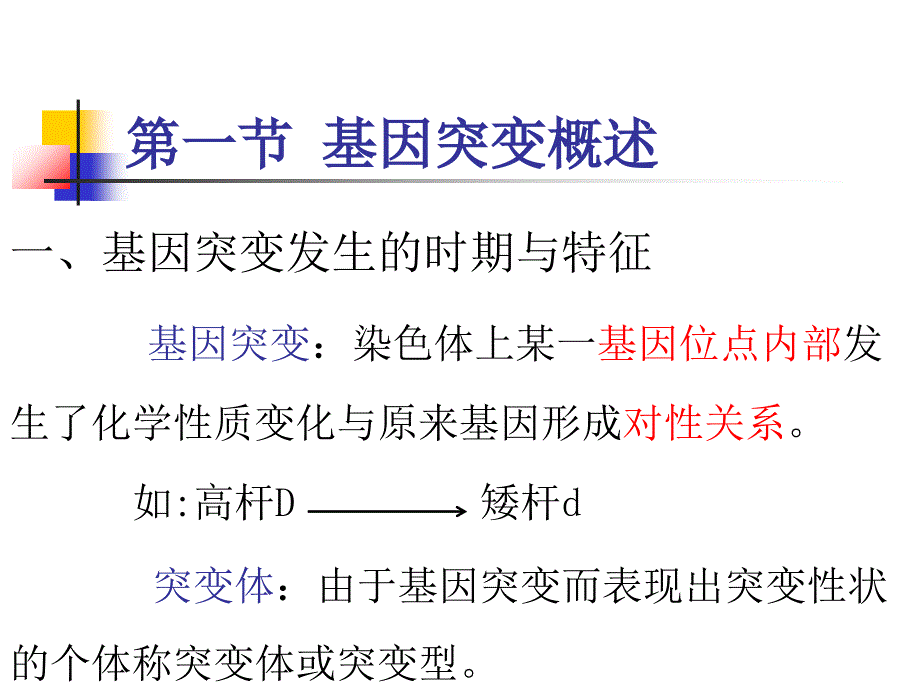 基因突变与DNA损伤修复_第2页