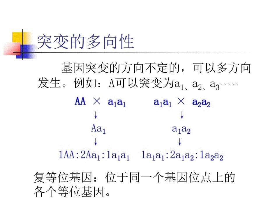 基因突变与DNA损伤修复_第5页