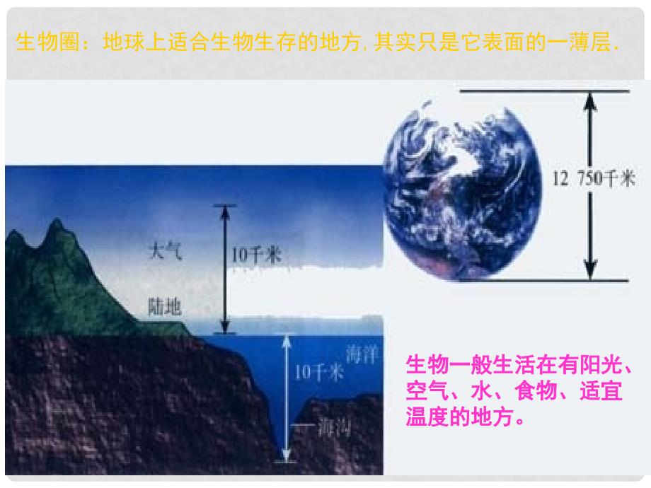 七年级生物上册 第一单元 第二章 了解生物圈课件 （新版）新人教版_第4页