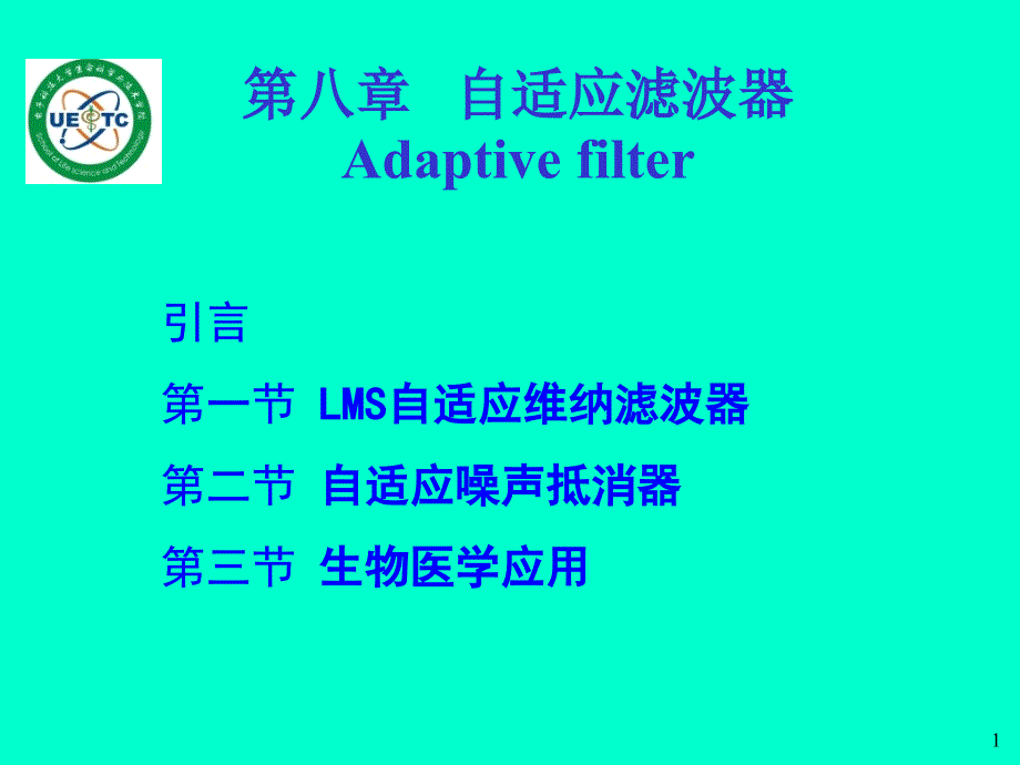 《自适应滤波器》PPT课件_第1页