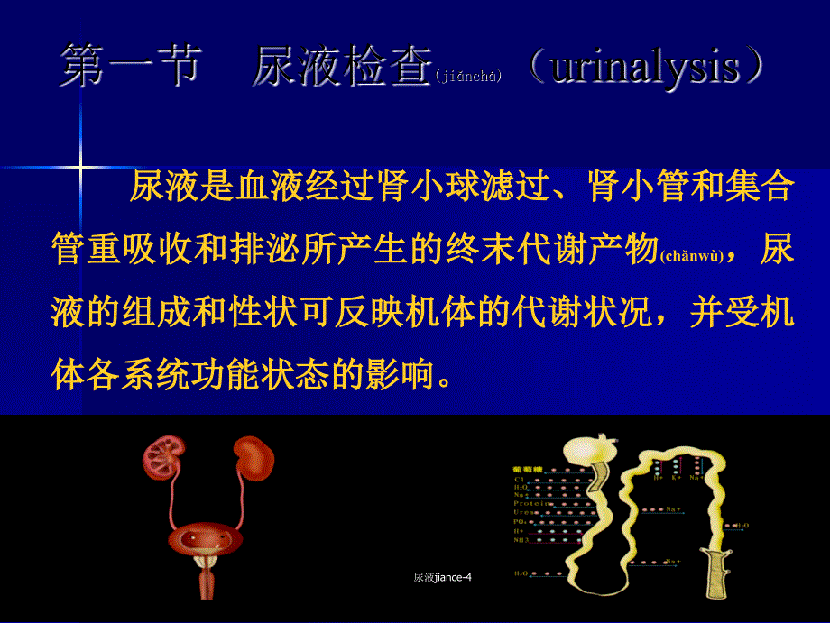 尿液jiance-4课件_第3页
