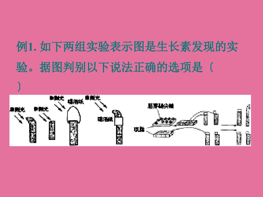 高三生物植物生长素的发现1ppt课件_第2页