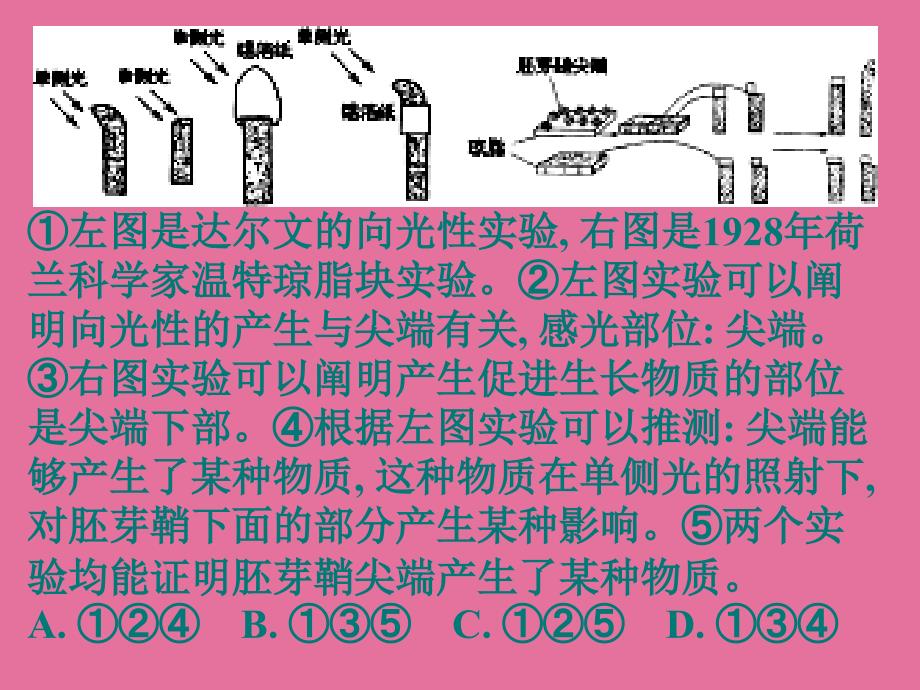 高三生物植物生长素的发现1ppt课件_第3页