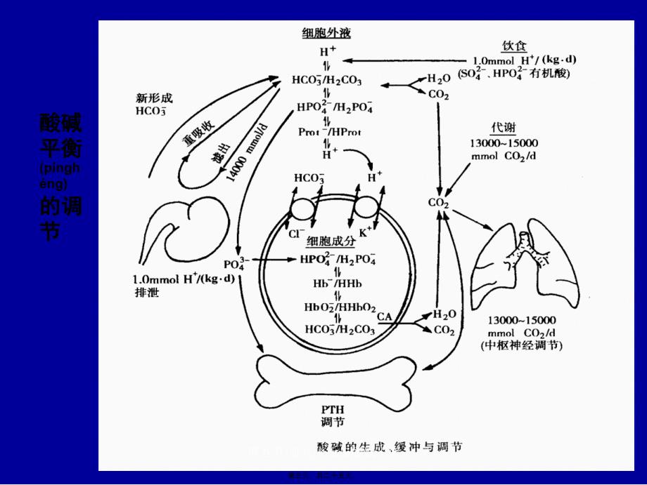 第五节-血气分析与酸碱平衡课件_第3页