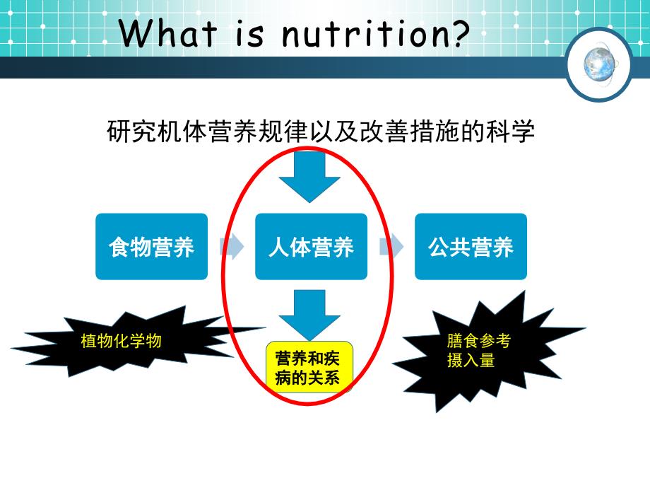 营养学研究方法_第2页