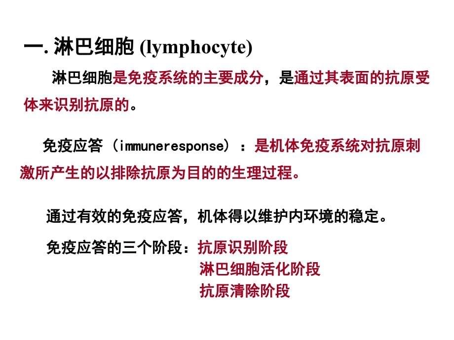 《人体组织学与解剖学》教学课件：8 免疫系统_第5页