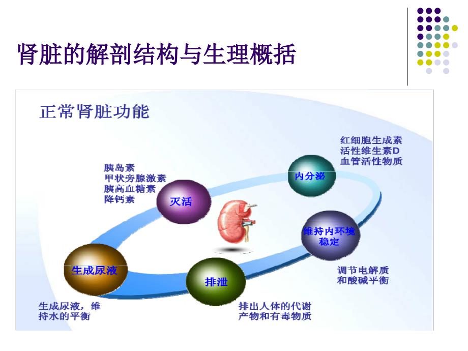 尿液检查分析课件_第3页