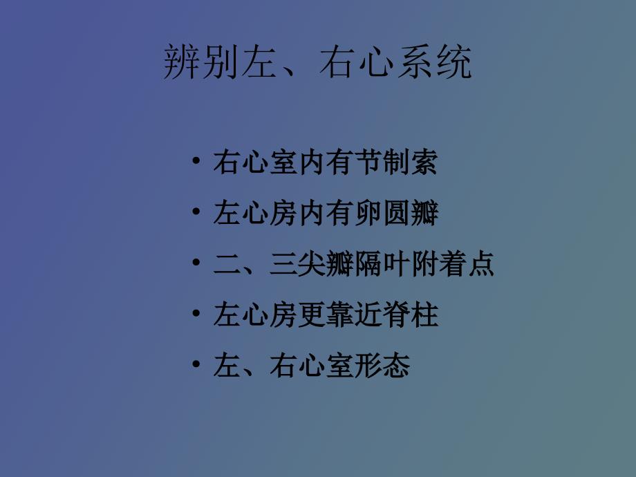 胎儿心脏四腔心_第4页