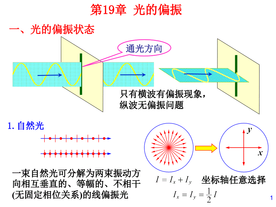 哈工大大物课件第19章光的偏振_第1页