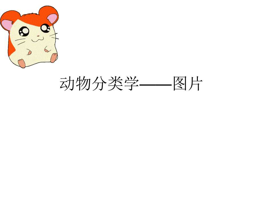 动物分类学—图片_第1页