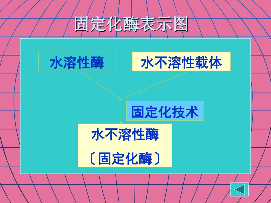 食品酶学本第四章固定化酶ppt课件_第3页