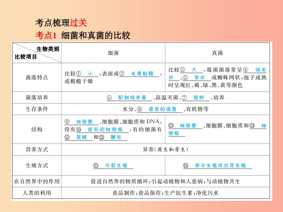 聊城专版2019年中考生物第一部分系统复习成绩基石第五单元第45章细菌真菌和簿课件.ppt_第2页