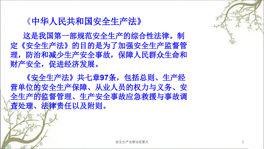 安全生产法律法规要点PPT课件_第2页