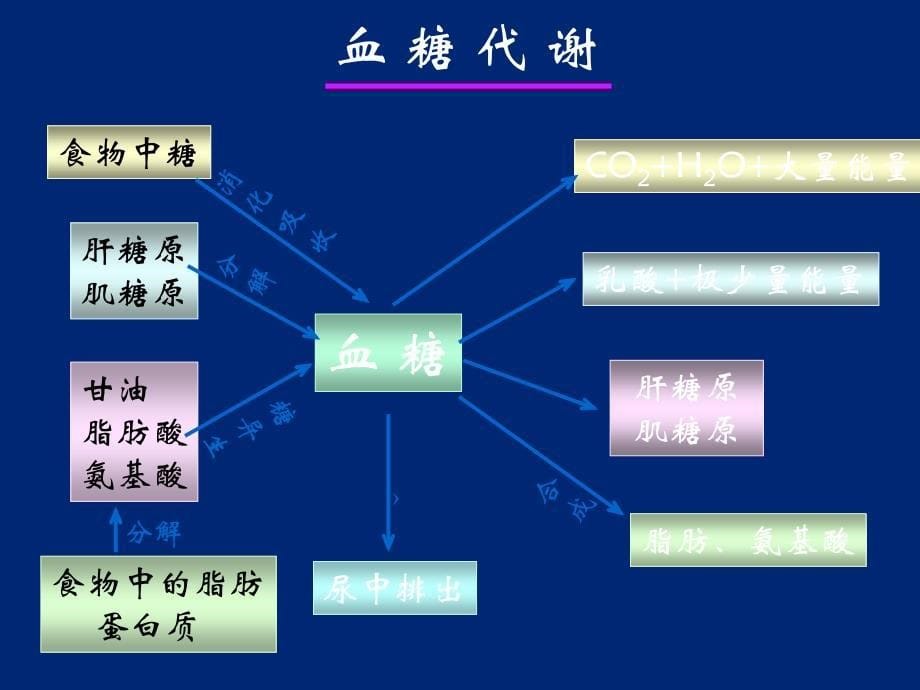 糖尿病病理生理学ppt课件_第5页