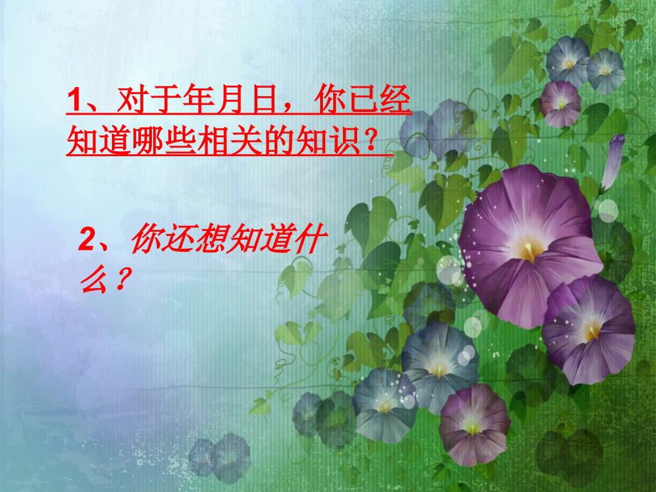 北师大版数学三年级上册年月日PPT课件_第3页