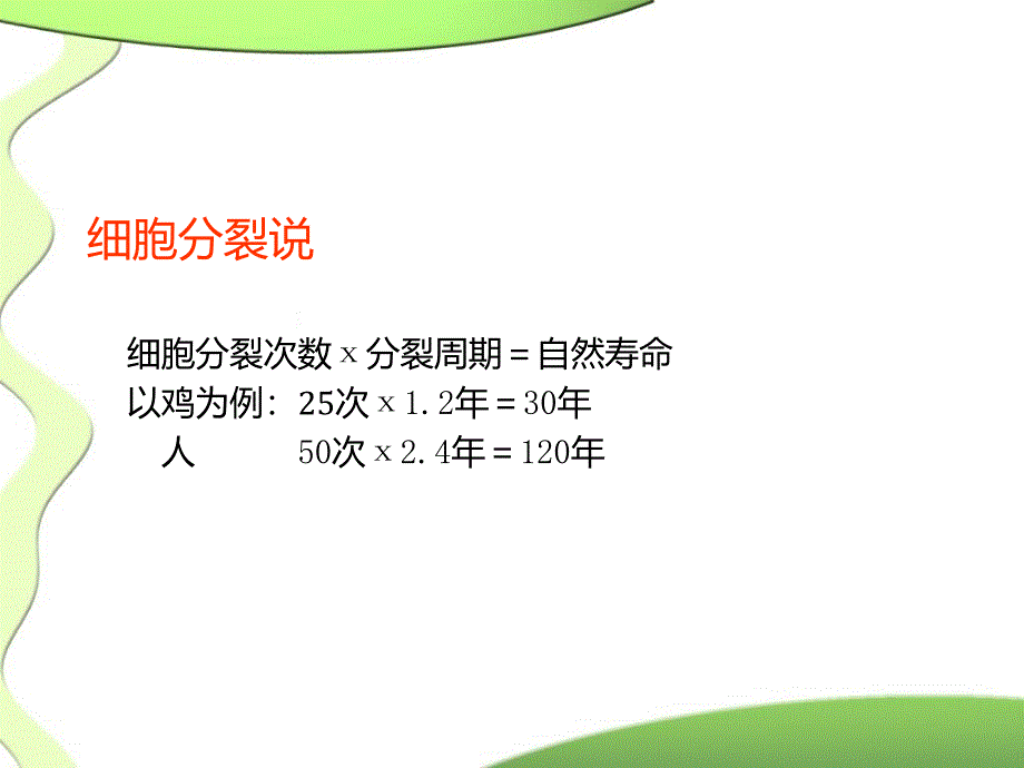 《延缓衰老抗突变》PPT课件.ppt_第4页