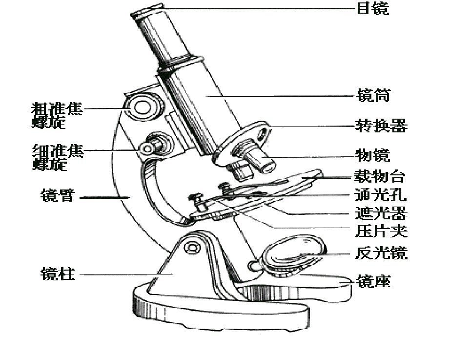 生物1.1走进生物实验室课件冀教版七年级上_第4页