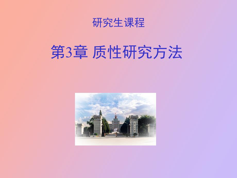 质性研究方法_第2页