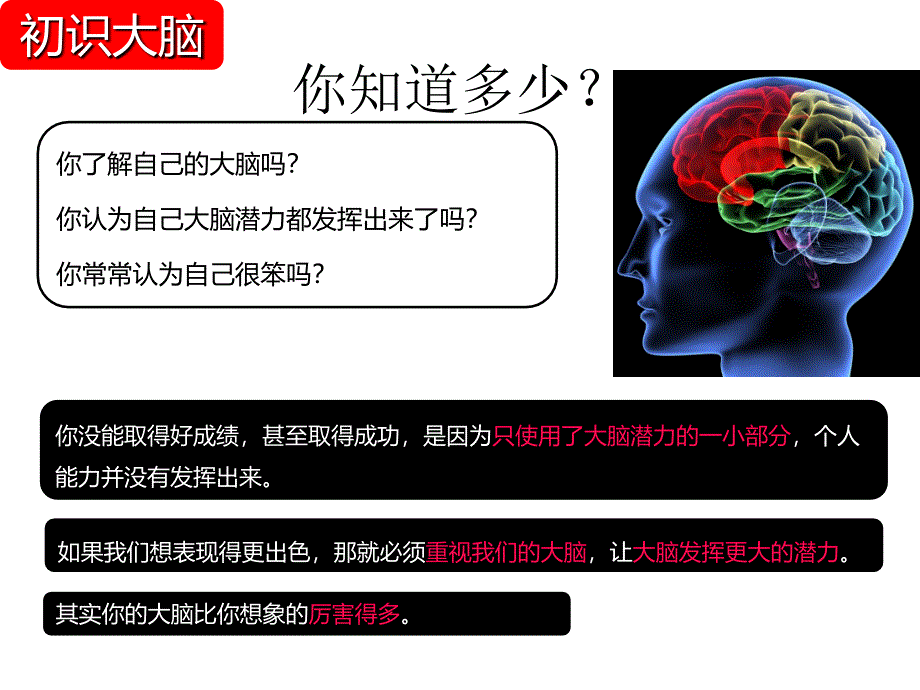 最新大脑思维导图_第3页