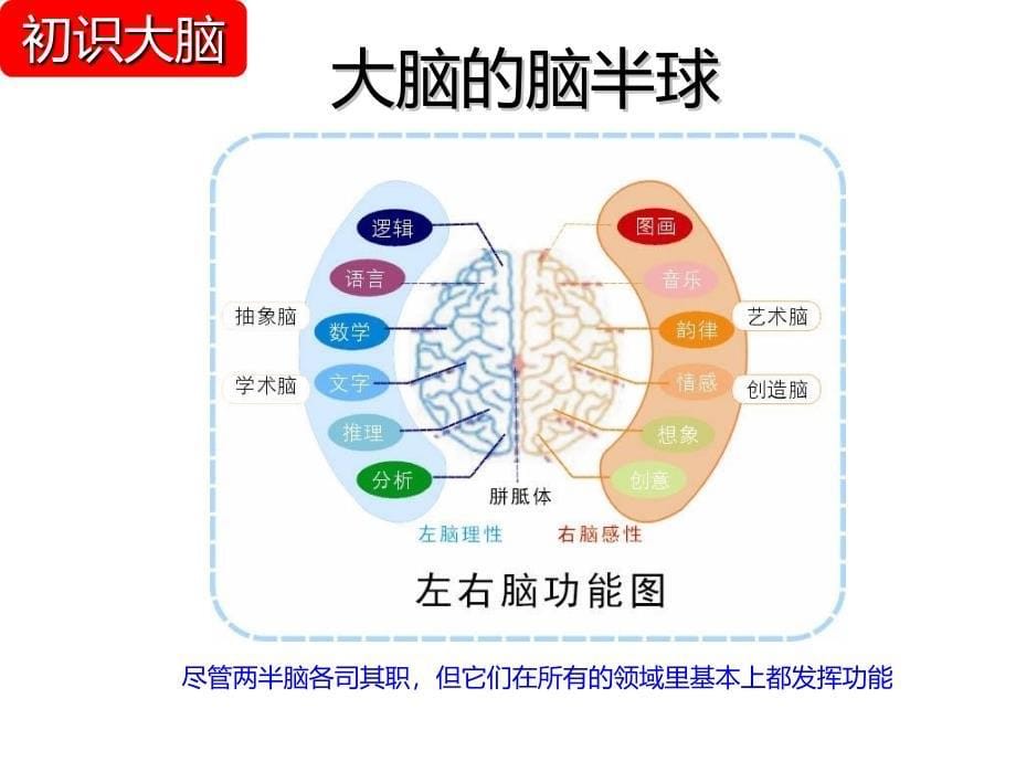 最新大脑思维导图_第5页