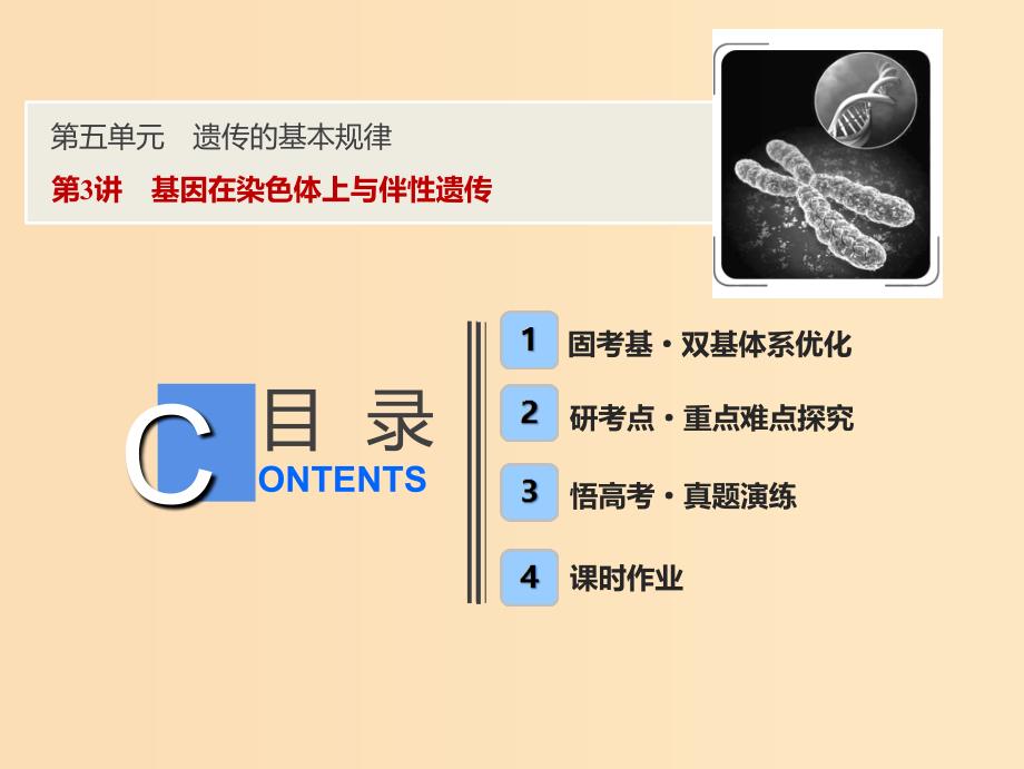 2019版高考生物一轮复习 第五单元 遗传的基本规律 第3讲 基因在染色体上与伴性遗传课件 新人教版.ppt_第1页