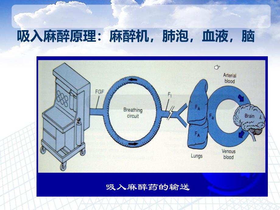 麻醉机基本原理和结构ppt课件_第2页