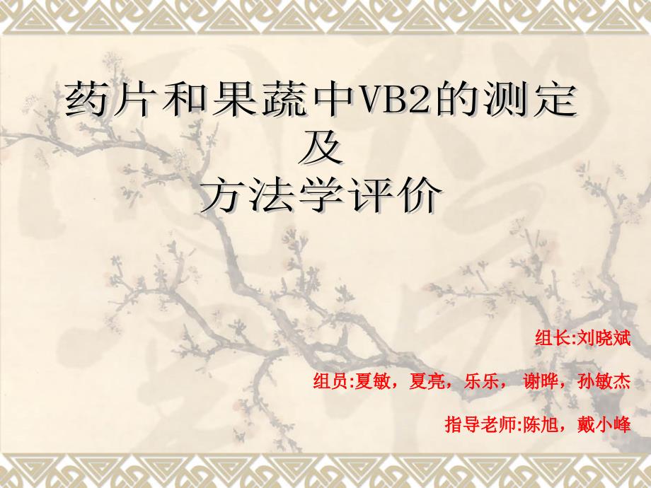 VB2的测定和方法学课件_第1页