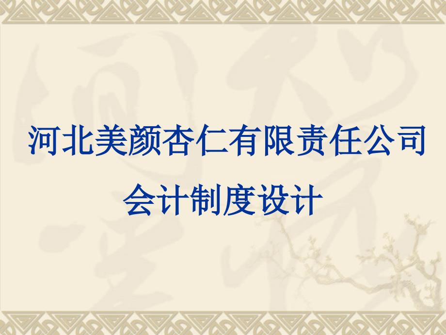 某公司会计制度设计案例(PPT62张)课件_第1页