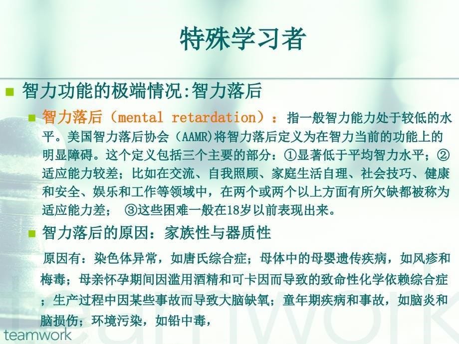 《特殊学习者》PPT课件.ppt_第5页