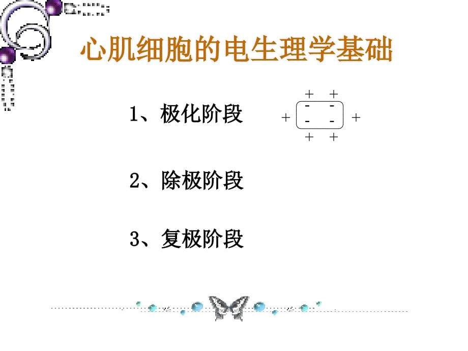 诊断学心电图课件_第5页