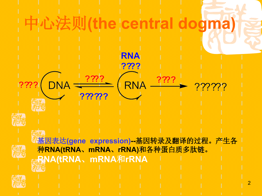 典型乳糖操纵子的诱导原理ppt课件_第2页