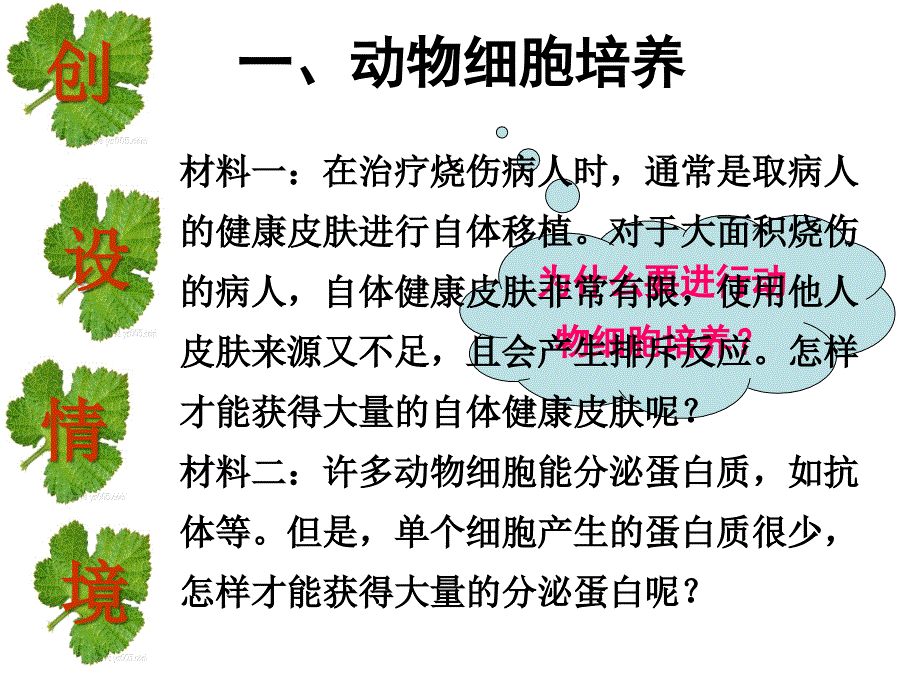 《动物细胞培养》PPT课件_第4页