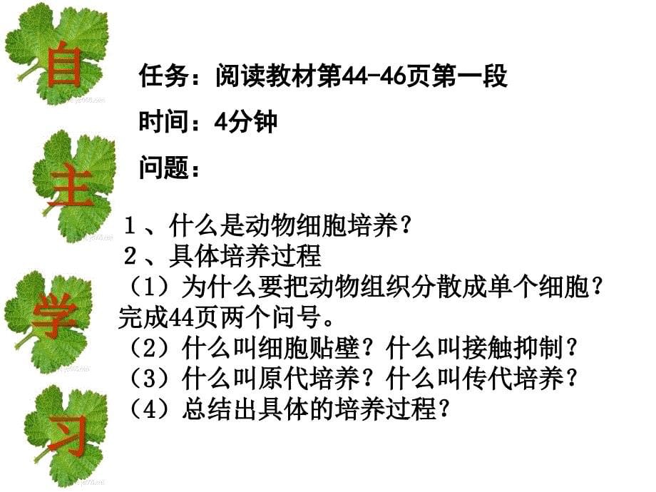 《动物细胞培养》PPT课件_第5页