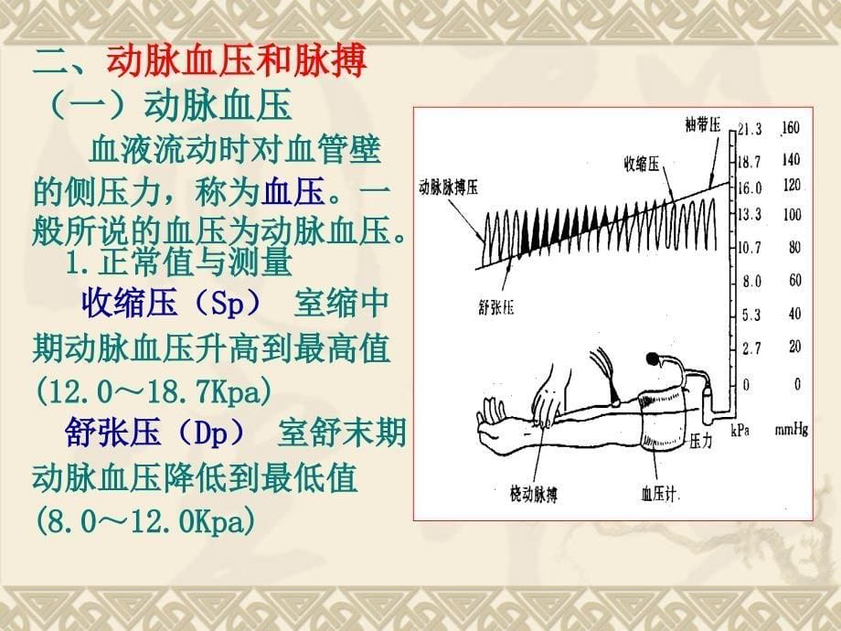 血液循环2-血管生理_第5页