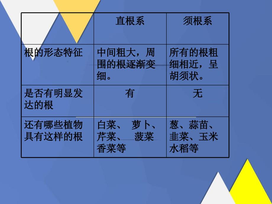 五年级科学上册第4课根和茎课件2冀教版冀教版小学五年级上册自然科学课件_第4页