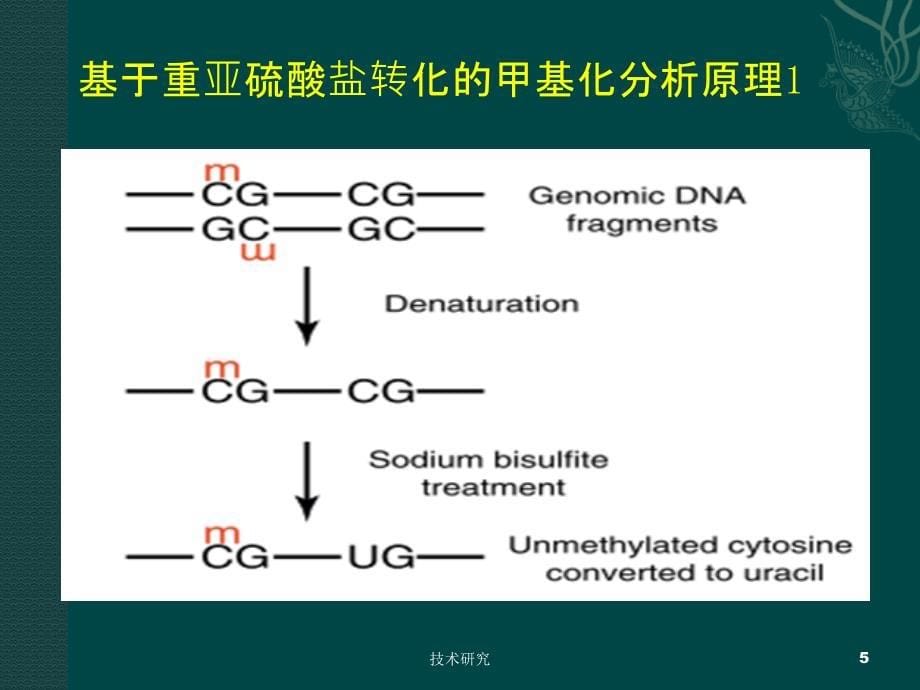 DNA甲基化检测方法[教育课件]_第5页