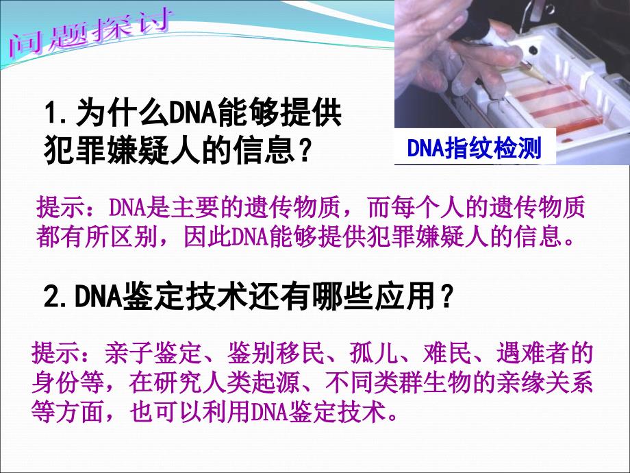 23遗传信息的携带者——核酸_第3页