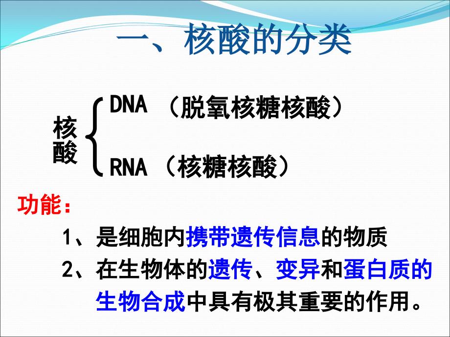 23遗传信息的携带者——核酸_第4页