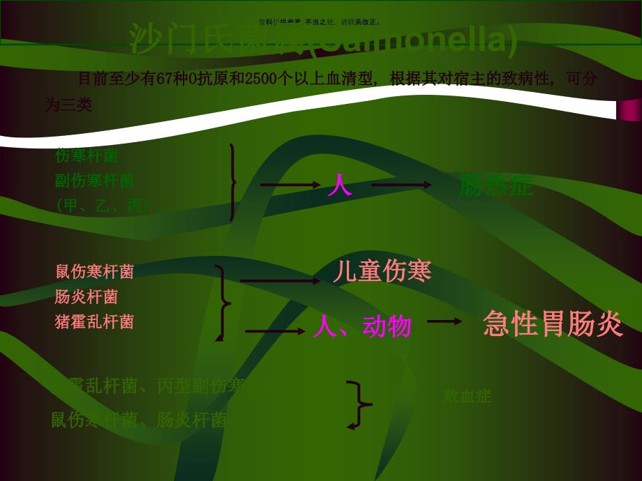 食品中常见病原微生物检验技术课件_第3页