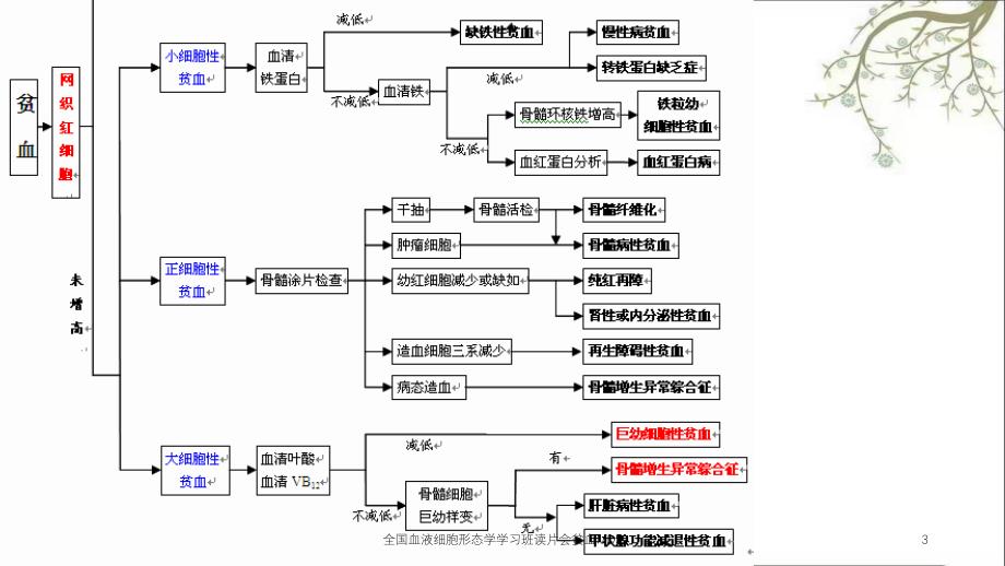 全国血液细胞形态学学习班读片会贫血MDS_第3页